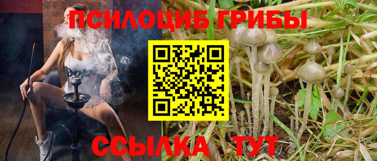 Галлюциногенные грибы Psilocybine cubensis  Псилоцибиновые грибы MAGIC MUSHROOMS  Вход с VPN  Донской 