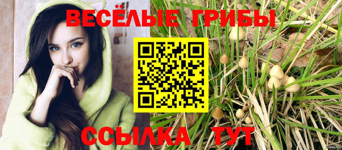 Галлюциногенные грибы GOLDEN TEACHER Донской